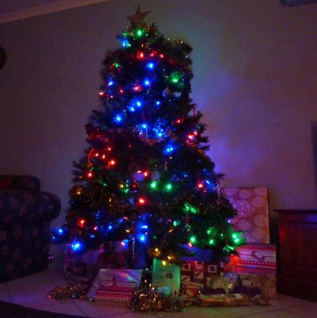 Our Christmas Tree in the holiday unit.